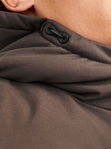 JACK & JONES Winter jacket 'JJMoon' in Brown