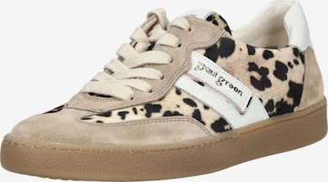 Baskets basses Paul Green en marron : devant