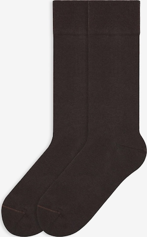 Von Jungfeld Socks 'Herbstfarben' in Brown: front