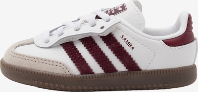 19 dydžio Sportbačiai 'Samba' iš ADIDAS ORIGINALS, spalva – rusvai pilka / vyšninė spalva / balta, Prekių apžvalga