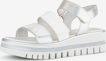 GABOR Sandals in Silver: front