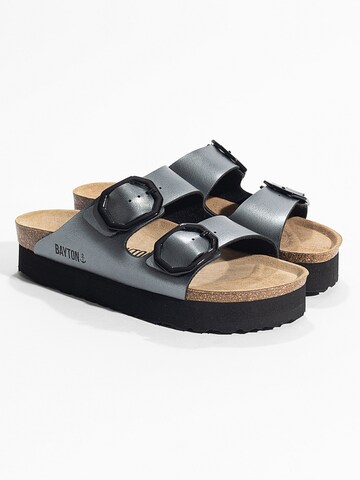 Bayton Mule 'JAPET' in Grey