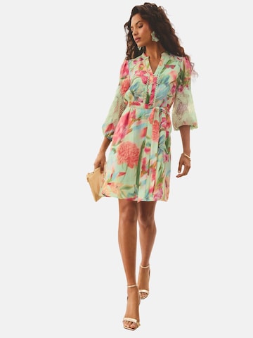 Robe love & roses en vert : devant