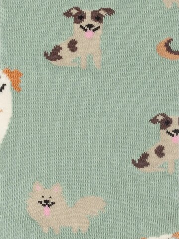 DillySocks Socken 'Precious Pets' in Mischfarben