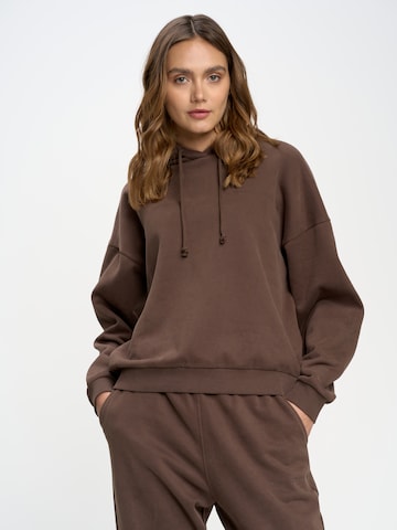 BIG STAR Sweatshirt 'Meganer' in Brown: front
