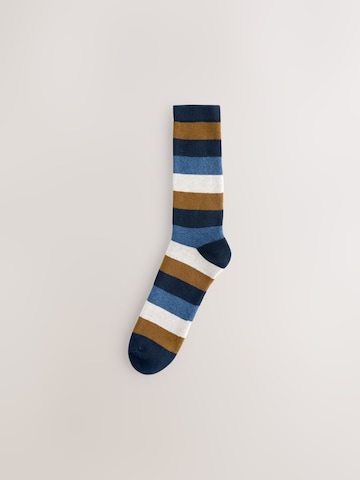 Next Socks in Mixed colours