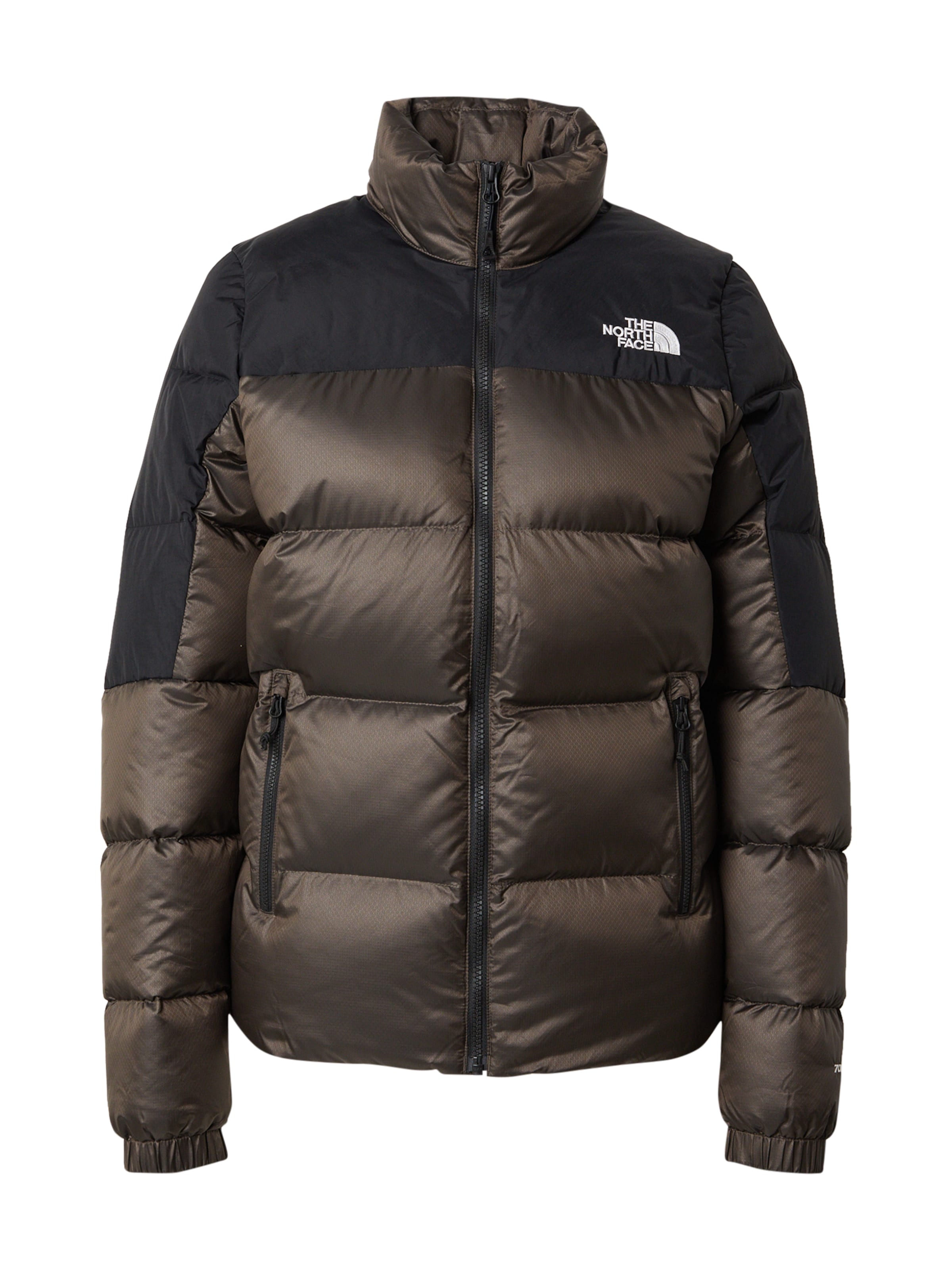 THE NORTH FACE Куртка в спортивном стиле 'DIABLO 2.0' в Коричневый: спереди