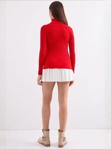 Bigdart Sweater in Red
