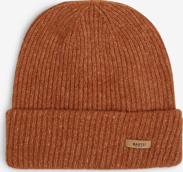 Barts Beanie 'Witzia' in Brown: front