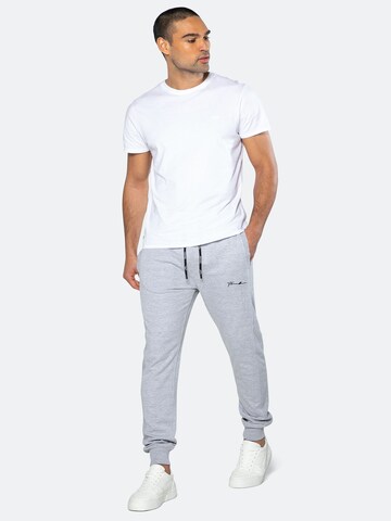 Threadbare Tapered Pants 'Ferry' in Grey