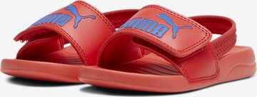 PUMA Beach & Pool Shoes 'Popcat 2' in Red