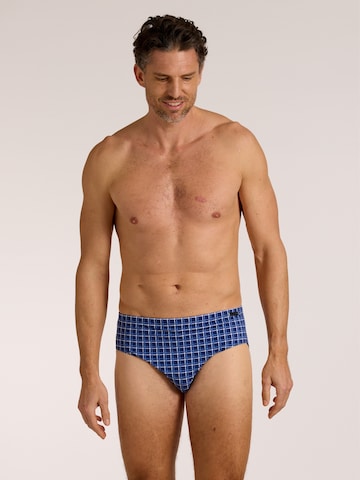 wavebreaker Swim Trunks in Blue