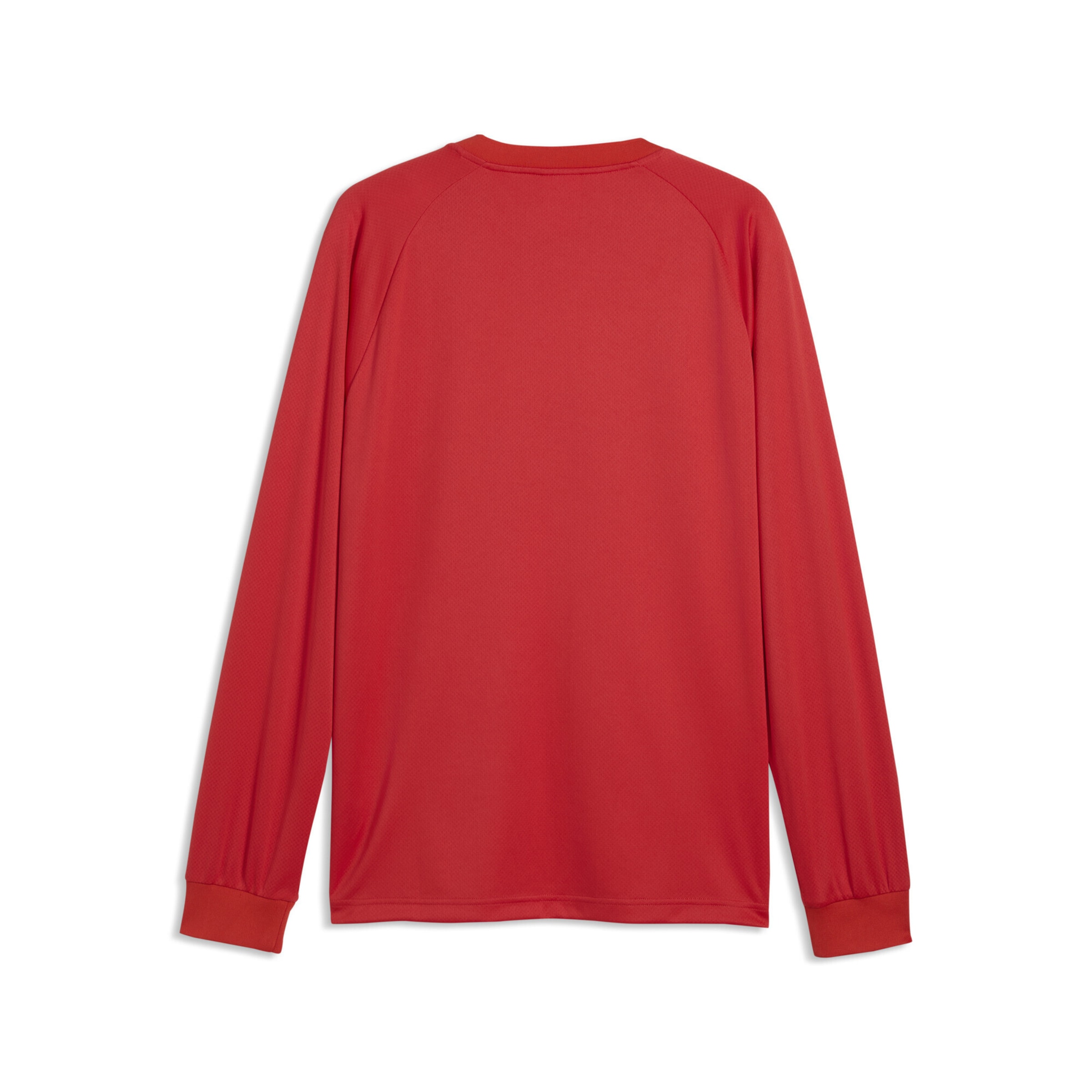 PUMA Trikot 'KING' in Rot