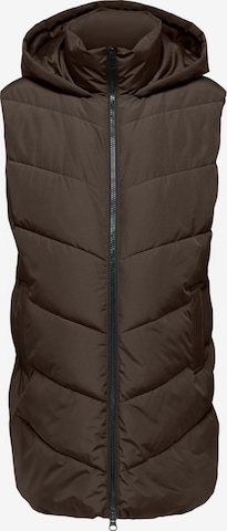 Gilet 'OLMCLAIR' di Only Maternity in marrone: frontale