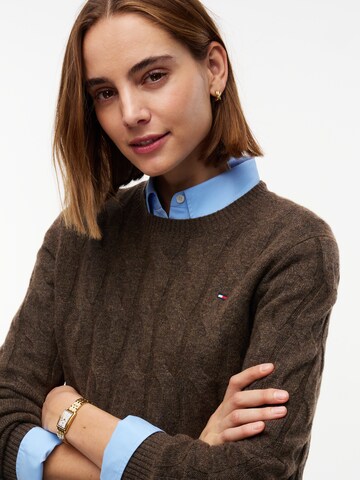 TOMMY HILFIGER Pulover | rjava barva