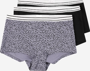 SCHIESSER Underpants in Grey: front