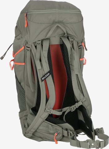 SALEWA Sports Backpack in Grey