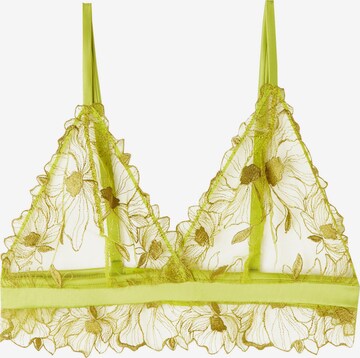 INTIMISSIMI Triangle Bra 'SWEET LIKE SUGAR' in Green: front