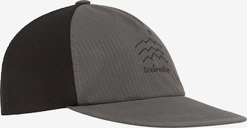 pelēks ICEBREAKER Saulessargs: no priekšpuses