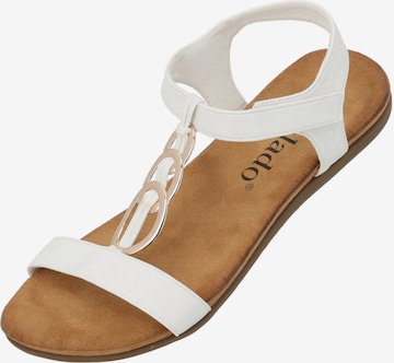 Sandales à lanières 'Uleto' Palado en blanc : devant