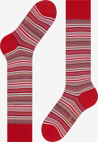 FALKE Knee High Socks 'Microblock' in Red: front