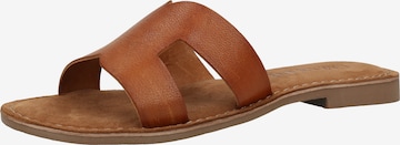 LAZAMANI Mules in Brown: front