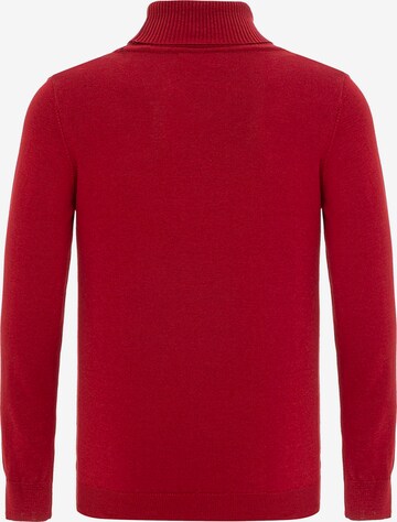 CIPO & BAXX Rollkragenpullover in Rot