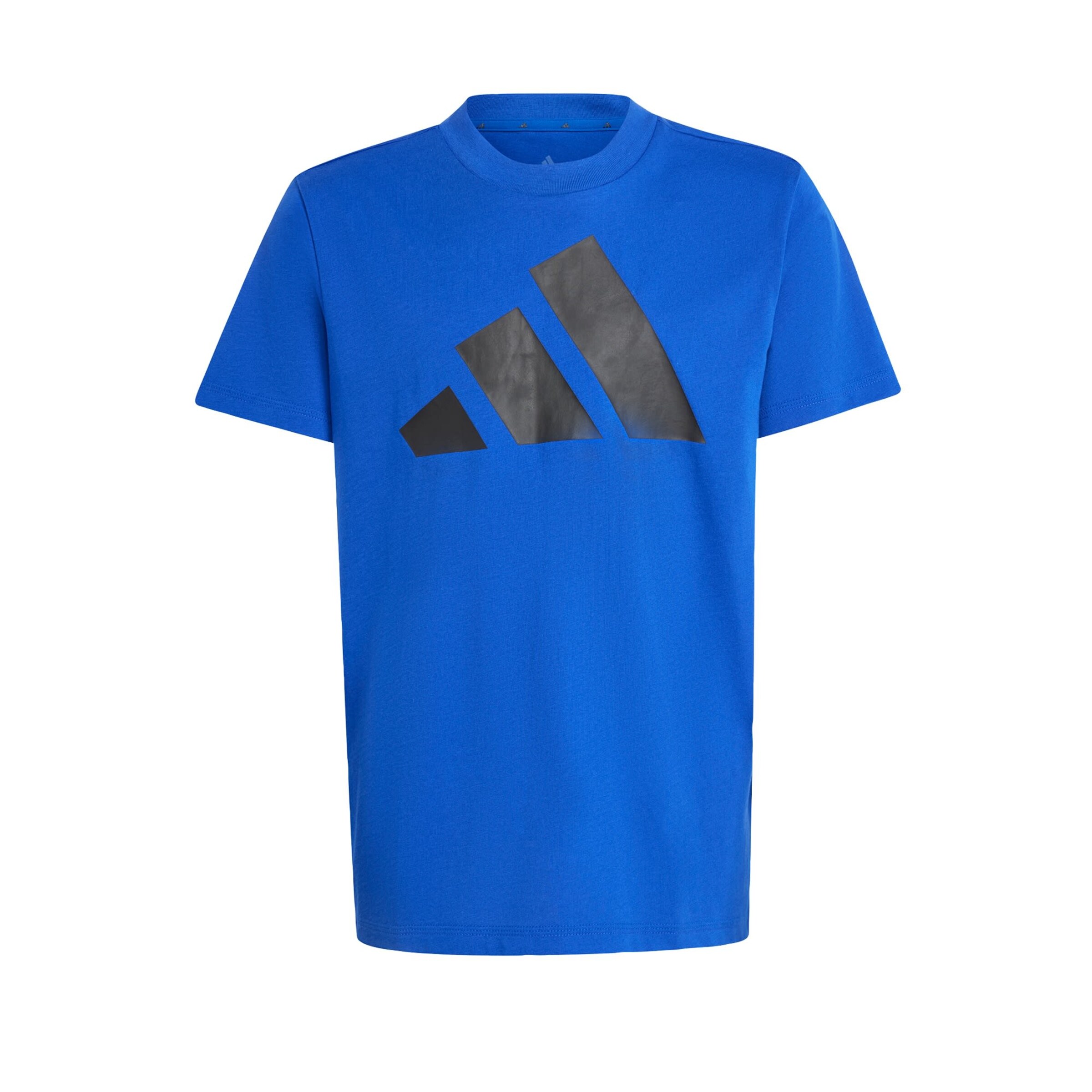 T-Shirt fonctionnel 'Essentials' ADIDAS SPORTSWEAR en bleu : devant