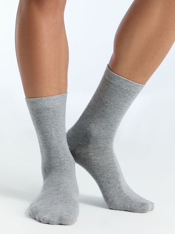 Albero Natur Socks 'Classic' in Grey