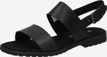 TIMBERLAND Sandals in Black: front