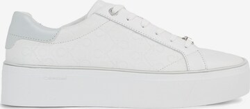 Baskets basses Calvin Klein en blanc