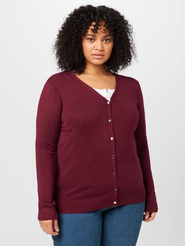 Dorothy Perkins Curve Knit Cardigan in Red: front