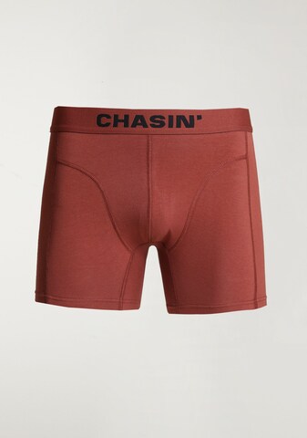 CHASIN' Boxer shorts 'Thrice Matz' in Green