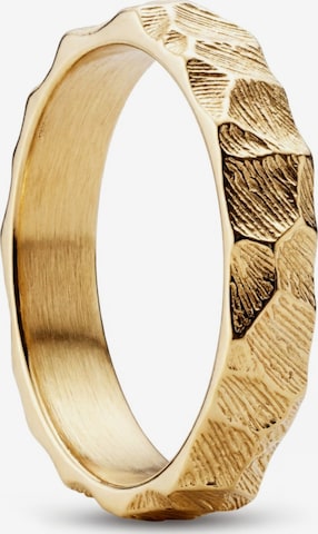 Sidegren Ring 'New Classics' in Goud: voorkant