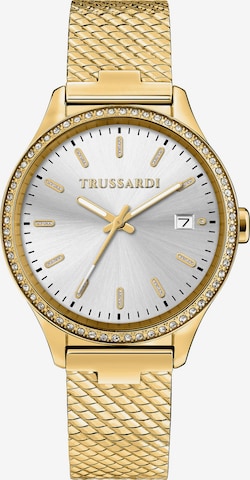 Trussardi Analoguhr in Gold: Vorderseite