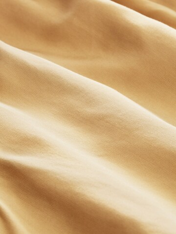 TOM TAILOR DENIM Regular Hose in Braun