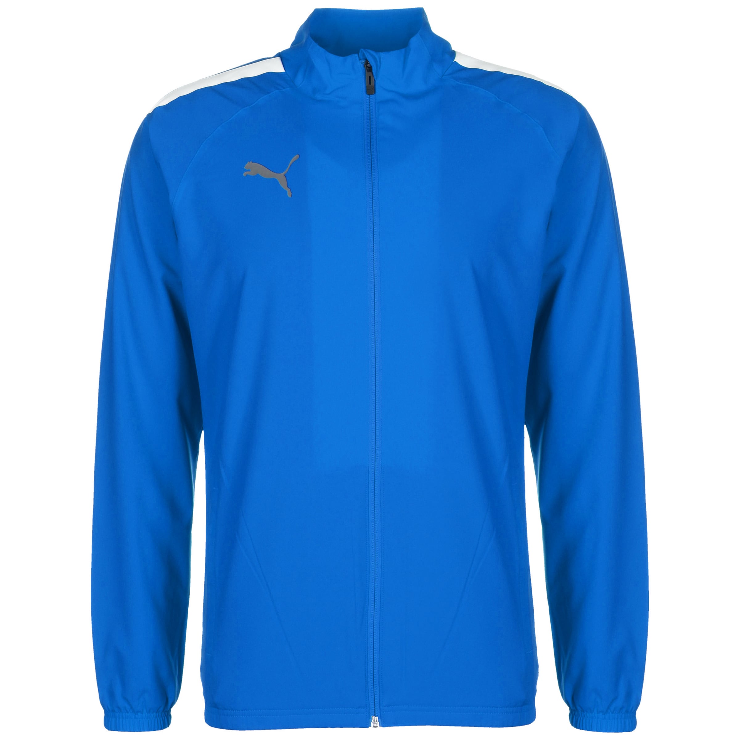 PUMA Trainingsjacke 'TeamLIGA' in Blau: Vorderseite