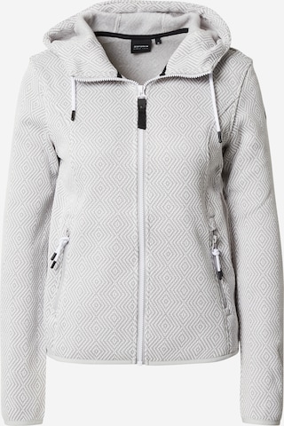 ICEPEAK Athletic Fleece Jacket 'Auen' in Grey: front