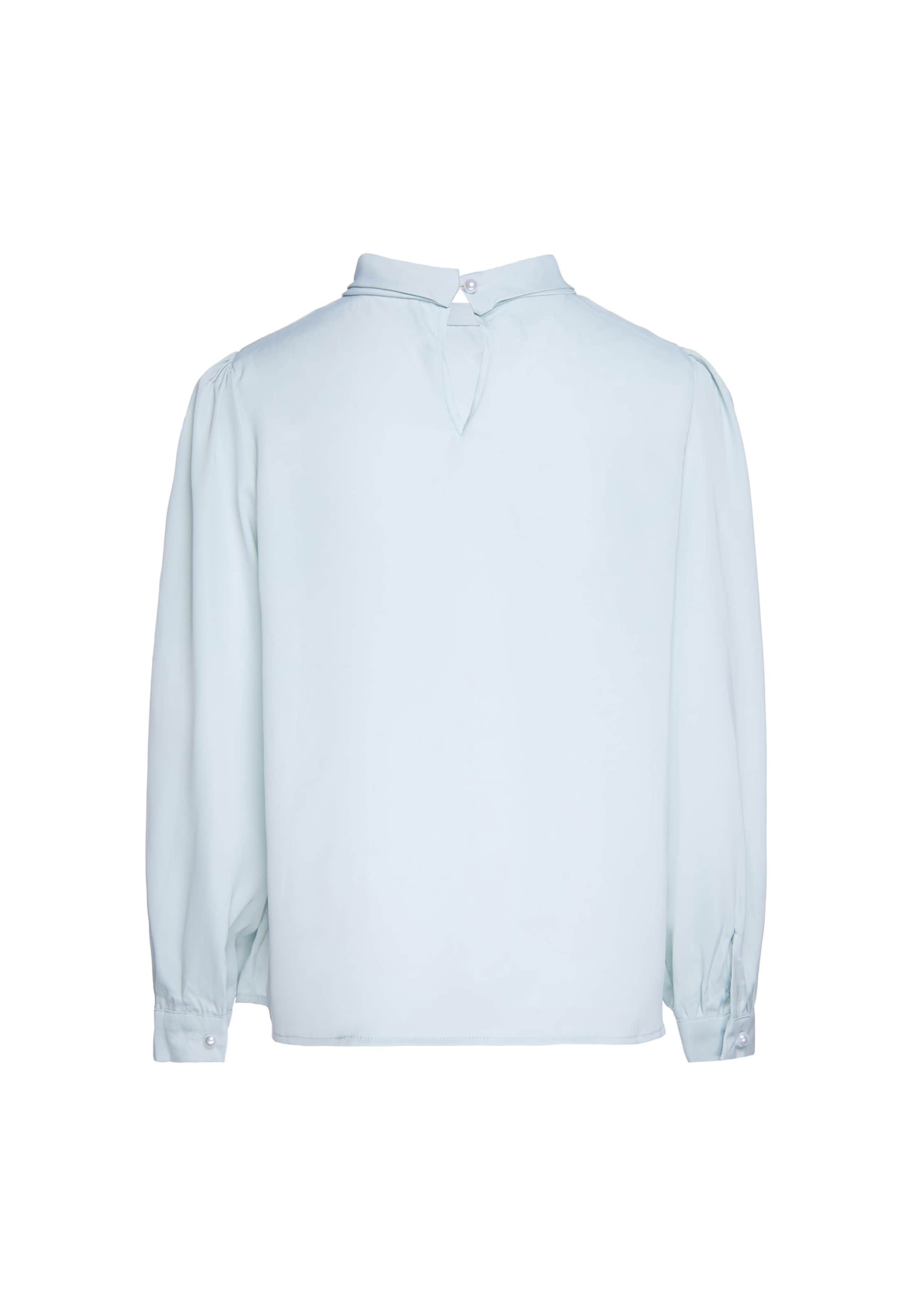 usha BLACK LABEL Blouse in Blauw