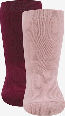 Chaussettes EWERS en rose : devant
