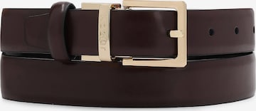 Cintura di Kazar in marrone: frontale