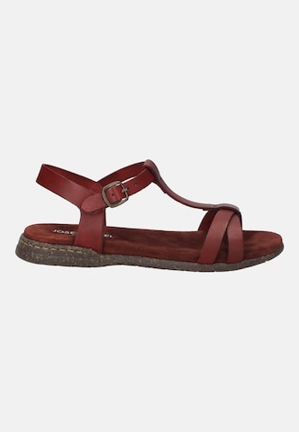JOSEF SEIBEL Sandals in Red