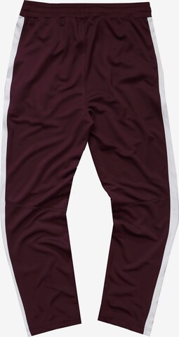 JAY-PI Regular Pants in Red