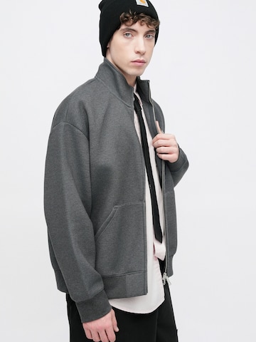 Carhartt WIP Свитшот 'Alda' в Серый