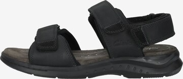 CLARKS Sandalen 'Hapsford Creek' in Zwart