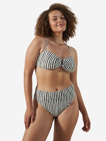 Penti Bandeau Góra bikini 'Bikinioberteile' w kolorze mieszane kolory