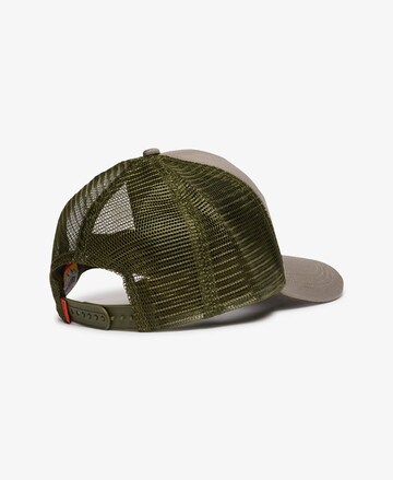 Superdry Pet in Groen