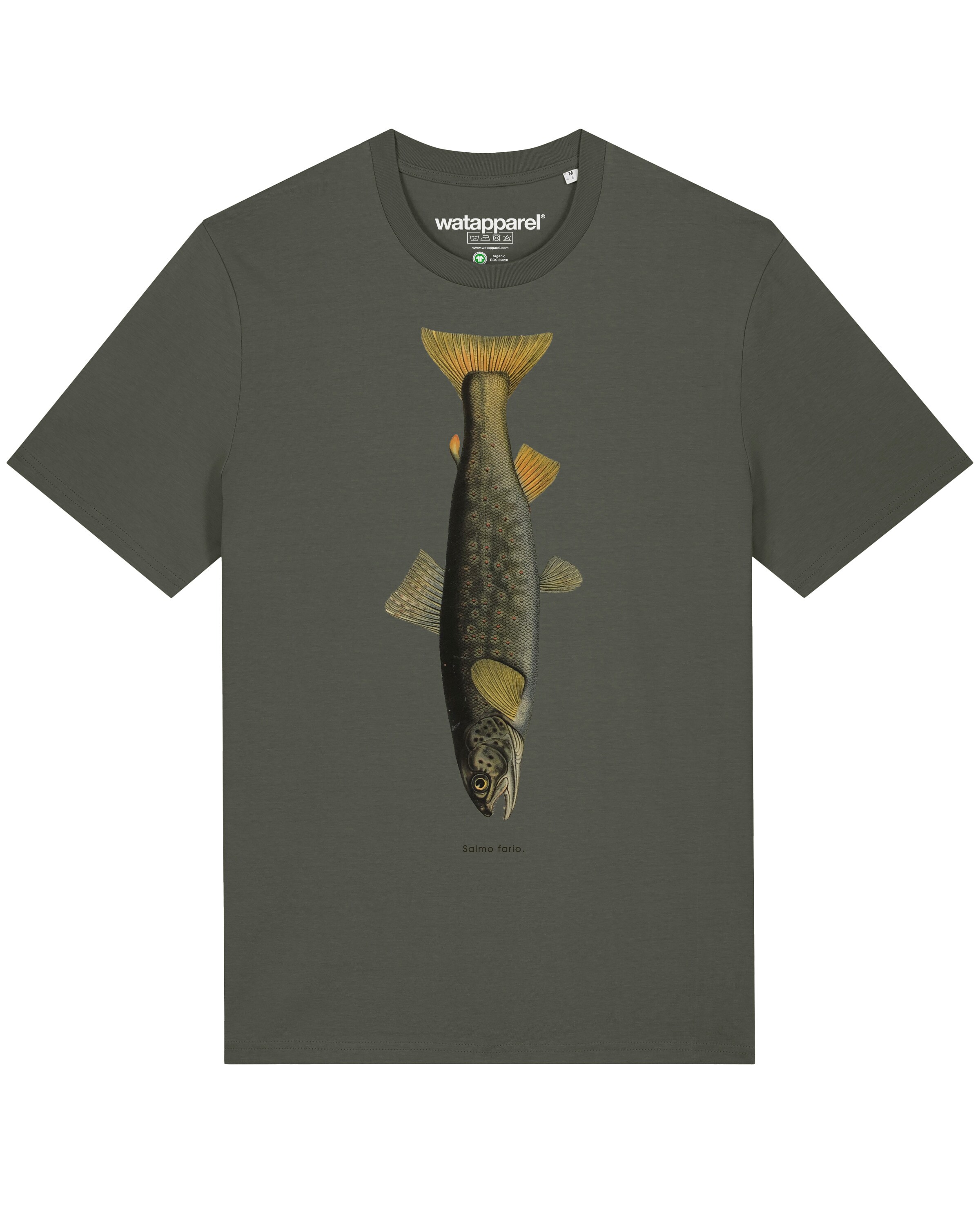 Watapparel Shirt 'Forelle' in Groen: voorkant