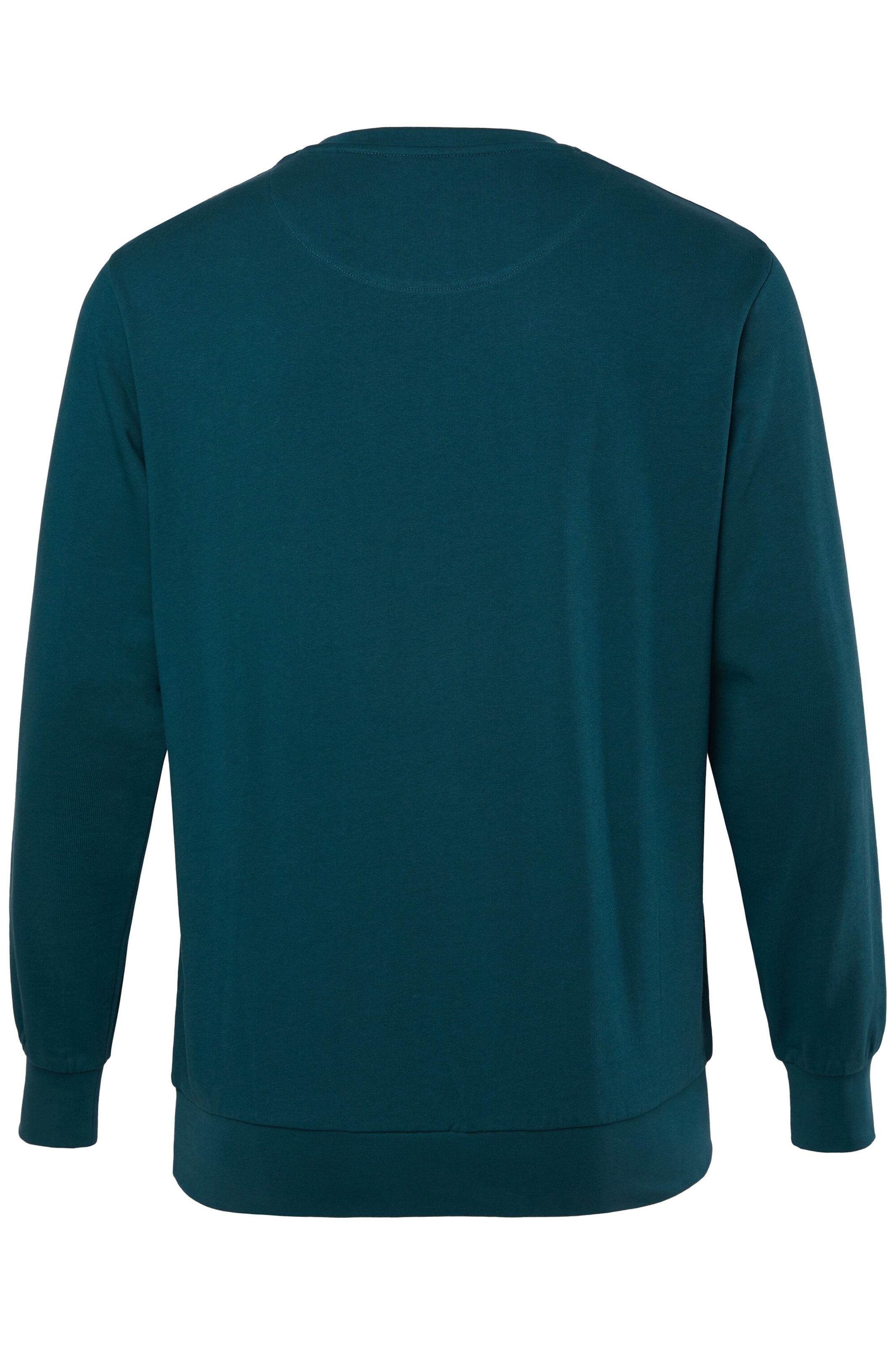Men Plus Sweatshirt in Groen