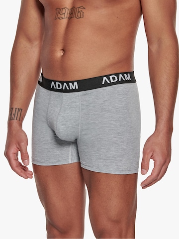 Adam Boxershorts '6er Pack'‌‌‌ in Grau